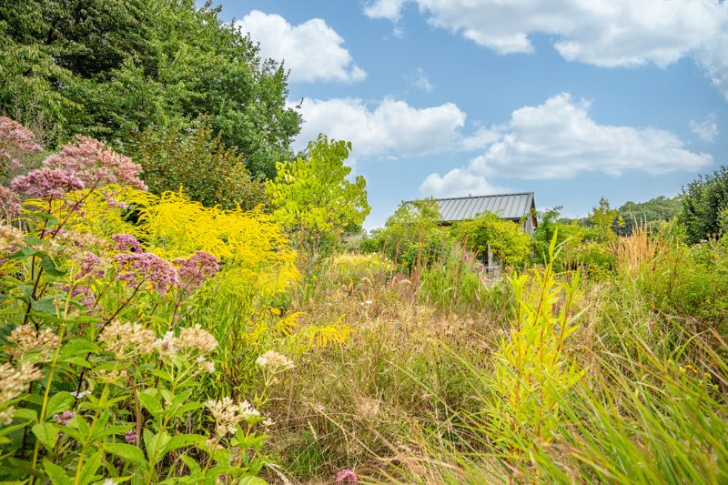 Setting- click for photo gallery